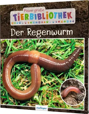 Sachbuch für Kinder