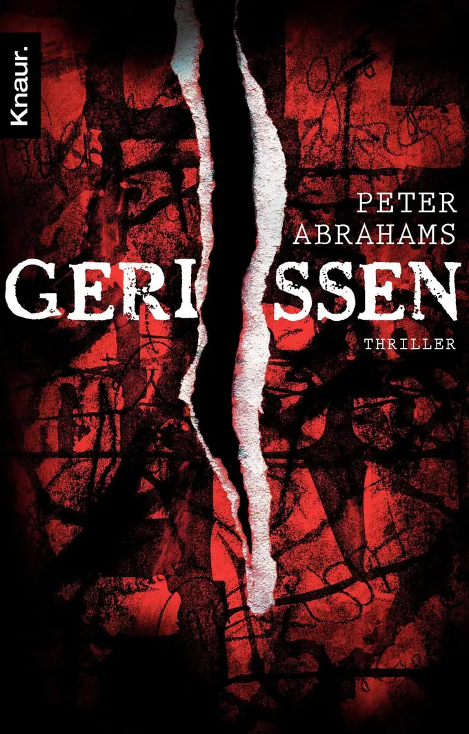 Thrillerbuch Bild 1