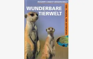Allgemeines Sachbuch