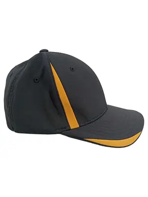 FLEXFIT Cap