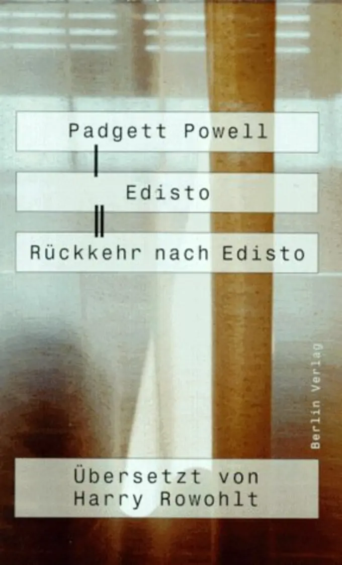 Gesellschaftsroman Bild 1