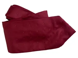 PROCHOWNICK Krawatte