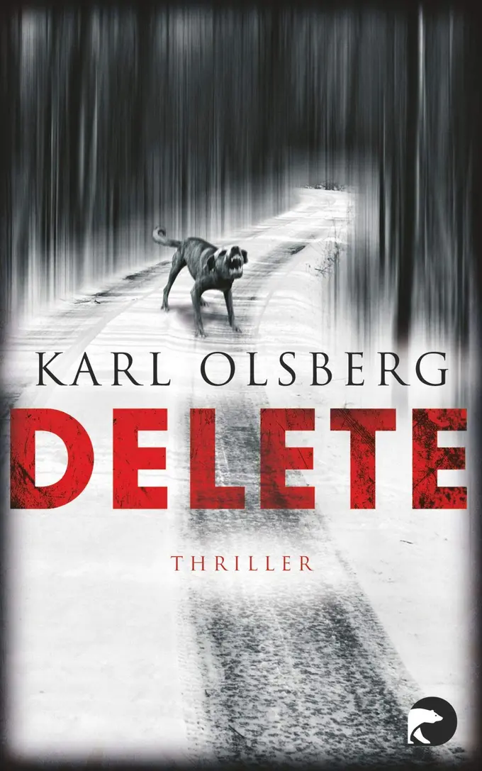 Thrillerbuch Bild 1