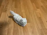 Vorschaubild 3 von Kuscheltier Katze Weiß Klassisch 14 cm