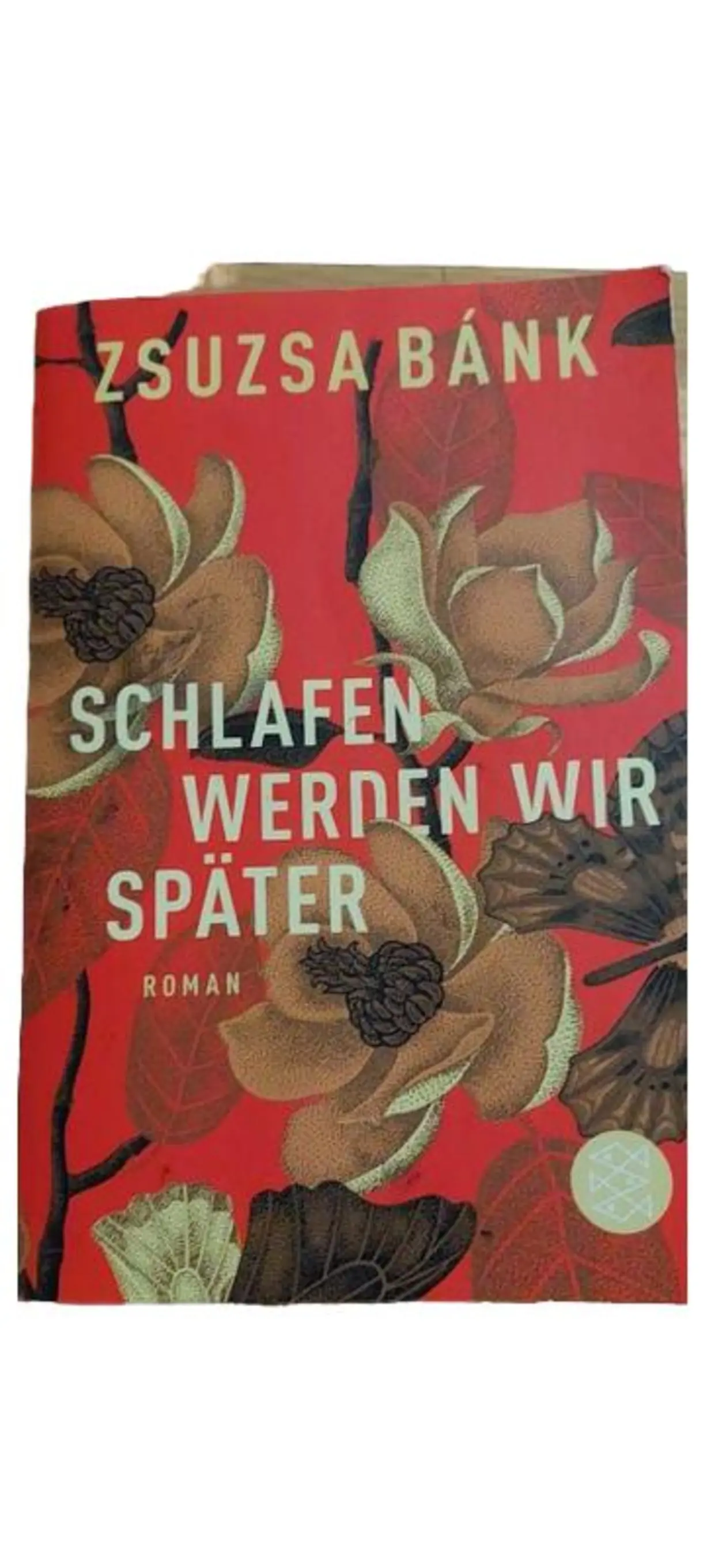 Schlafen werden wir später Zsuzsa Bánk Liebesroman Hardcover Deutsch