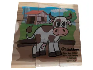 EICHHORN Puzzle