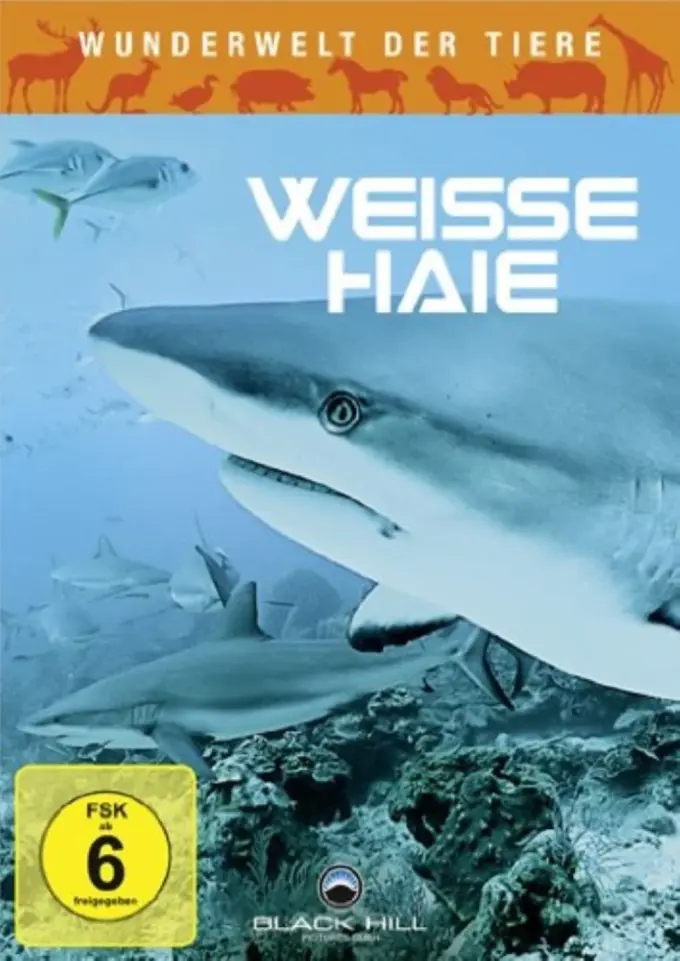 Dokumentation Bild 1