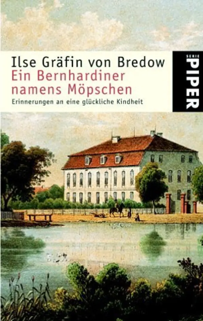 Biografischer Roman Bild 1