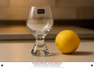 BOHEMIA CRYSTALEX Schnapsglas