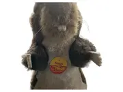 Vorschaubild 2 von Maus Kuscheltier Klassisch Braun 21cm Plüschtier mit Knopf im Ohr