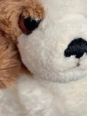 Vorschaubild 3 von Kuscheltier Hund Charmant Mehrfarbig 16cm