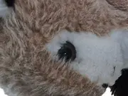 Vorschaubild 2 von Hase Kuscheltier Plüschtier Klassisch Mehrfarbig 16 cm