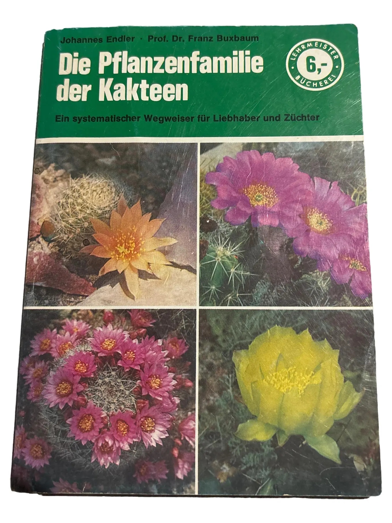 Kakteen Fachbuch Biologie: Botanik, Pflege, Zucht - Endler, Buxbaum