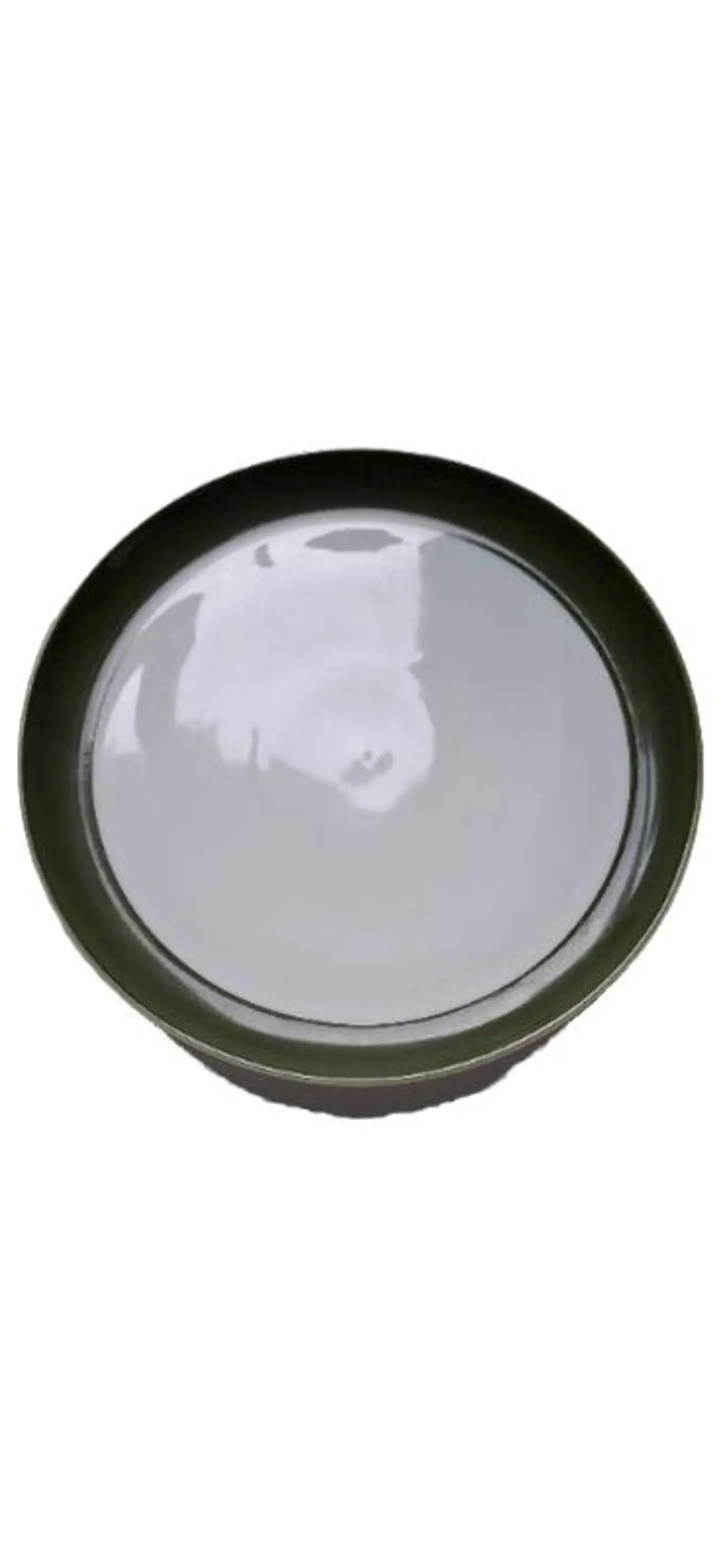 MELITTA 22-19 Essteller Porzellan Grün Basic Speiseteller 26cm