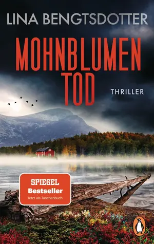 Thrillerbuch