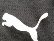 Vorschaubild 5 von Kinder Sport Shorts Gr. 164 Grün Polyester Trainingshose Jungen