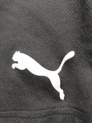 Vorschaubild 3 von Kinder Sport Shorts Gr. 164 Grün Polyester Trainingshose Jungen