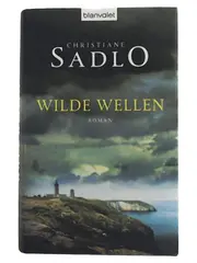 Vorschaubild Gesellschaftsroman 1