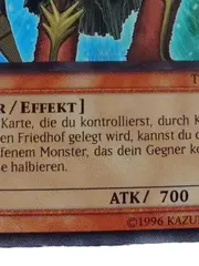 Vorschaubild 4 von Krieger Sammelkarte Zwillingsschild-Verteidiger TCG Einzelkarte