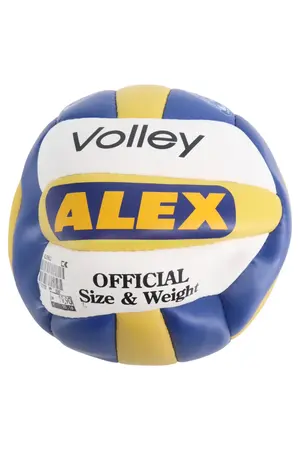 ALEX Volleyball