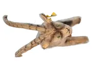 Vorschaubild 1 von Ziege Kuscheltier Plüschtier Braun Klassisch 20 cm