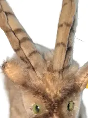 Vorschaubild 2 von Ziege Kuscheltier Plüschtier Braun Klassisch 20 cm