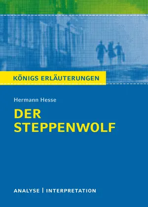 Buch für Jugendliche