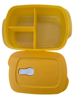 TUPPERWARE Kuchentransportbox