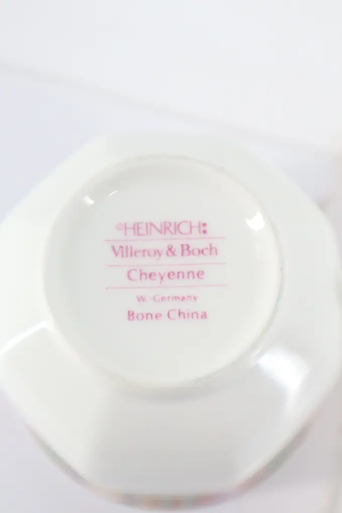 VILLEROY & BOCH Tasse und Unterteller Bild 2
