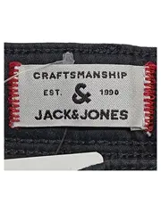 Vorschaubild JACK & JONES Jeans Regular Fit 3