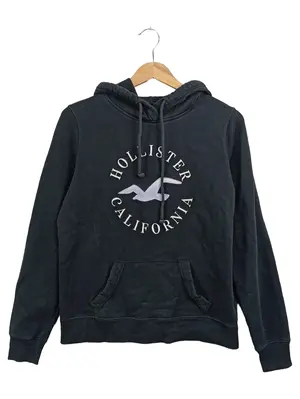 HOLLISTER Kapuzenpullover