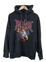 Vorschaubild REPLAY Kapuzenpullover 1