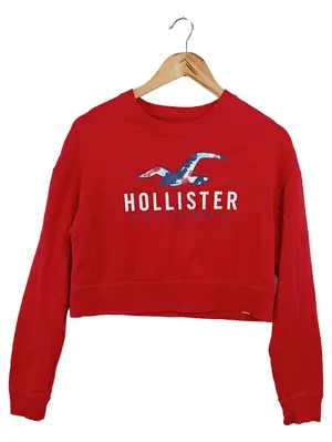 HOLLISTER Sweatshirt