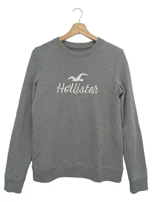 HOLLISTER Sweatshirt